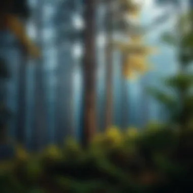Magnificent Exploring Forest Focus for Productivity: A Comprehensive Look at Mod APKs Magnificent Exploring Forest Focus for Productivity: A Comprehensive Look at Mod APKs