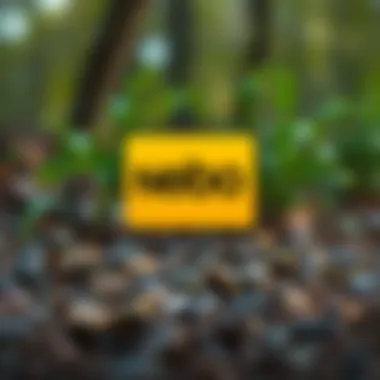 Magnificent Exploring Nebo Mod APK: Features, Installation, and More