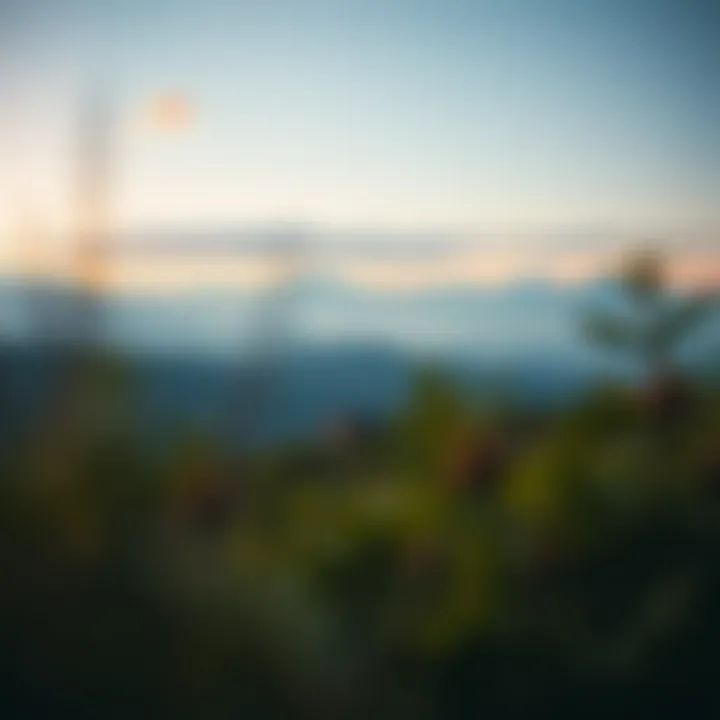 Magnificent Exploring Terrabox Mod APK: Features, Benefits, and Safety Considerations