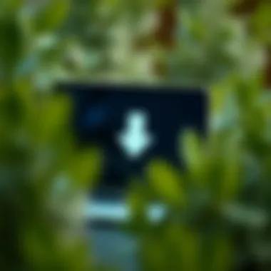 Magnificent Exploring the Depths of Video Downloader APKs: Functions and Implications