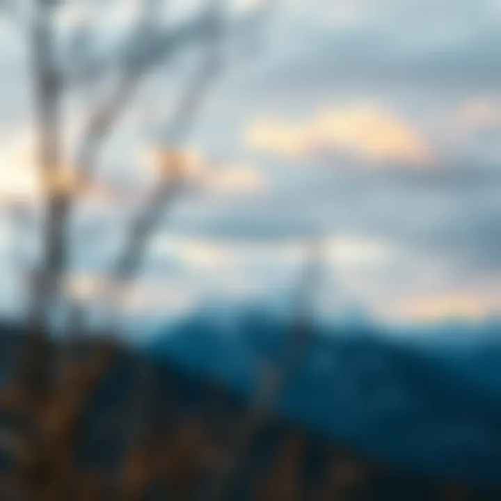 Magnificent Exploring Weather Underground Premium APK: A Comprehensive Guide