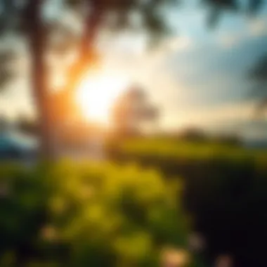 A Comprehensive Examination of Evscopro APK Summary