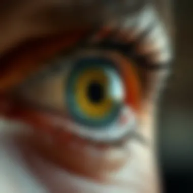 Notable A Comprehensive Exploration of The Da Vinci Eye APK Notable A Comprehensive Exploration of The Da Vinci Eye APK