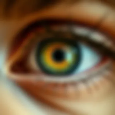 A Comprehensive Exploration of The Da Vinci Eye APK Summary A Comprehensive Exploration of The Da Vinci Eye APK Summary