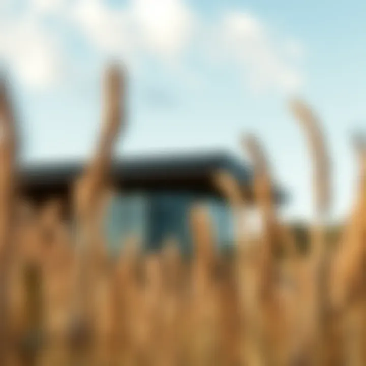 Notable Exploring Adobe Lightroom Crack APK: An In-Depth Analysis