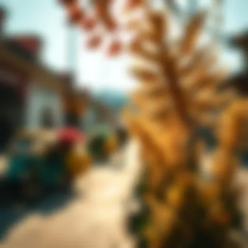 Exploring Adobe Lightroom Premium Mod APK: Insights and Implications Introduction