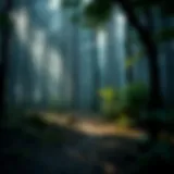 Exploring Forest Focus for Productivity: A Comprehensive Look at Mod APKs Introduction