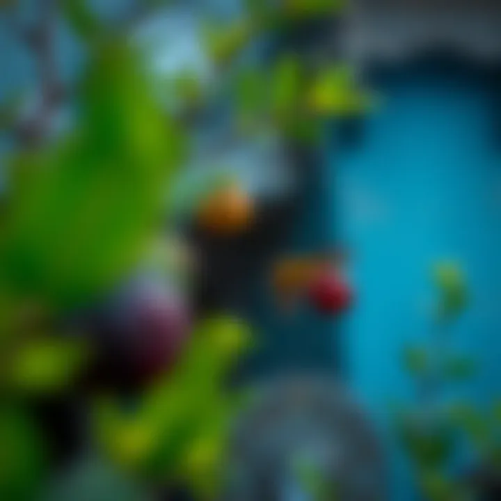Notable Exploring Lightroom on Android: A Comprehensive Analysis