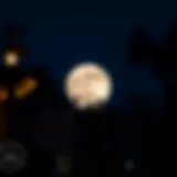 Exploring Moon Reader Pro 9.8 APK: A Comprehensive Analysis Introduction