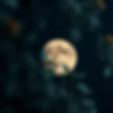 Exploring Moon Reader Pro 9.8 APK: A Comprehensive Analysis Summary Exploring Moon Reader Pro 9.8 APK: A Comprehensive Analysis Summary