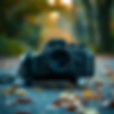 Kinemaster Mod APK: A Comprehensive Examination Summary Kinemaster Mod APK: A Comprehensive Examination Summary