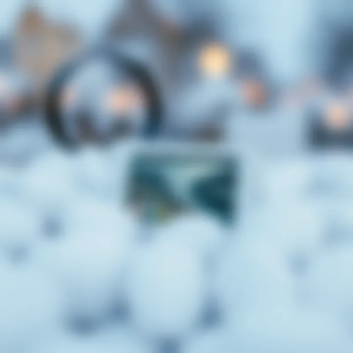 The Complex Landscape of Premium Video Downloaders Introduction